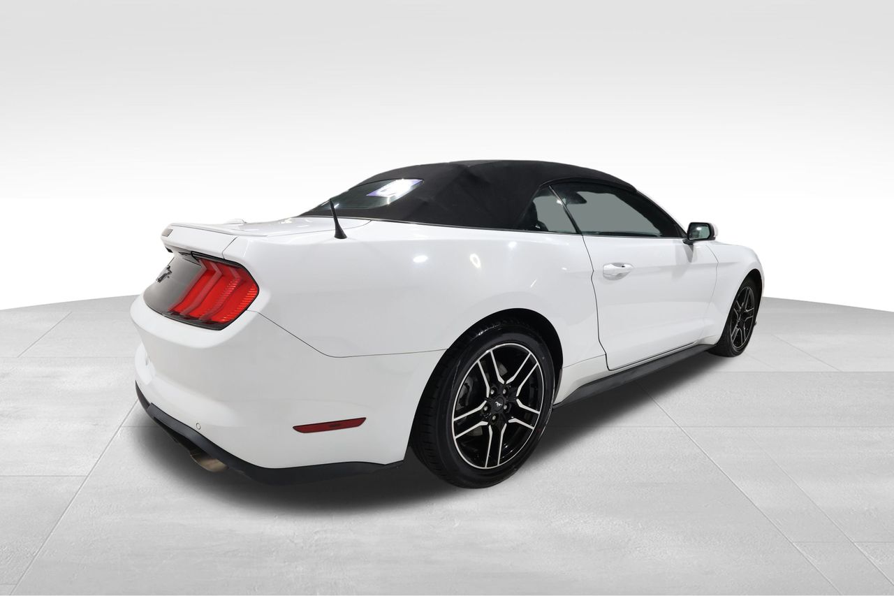 2023 Ford Mustang EcoBoost Premium photo 4
