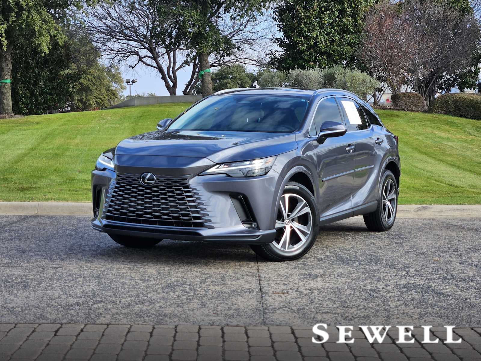 2023 Lexus RX 350's photo