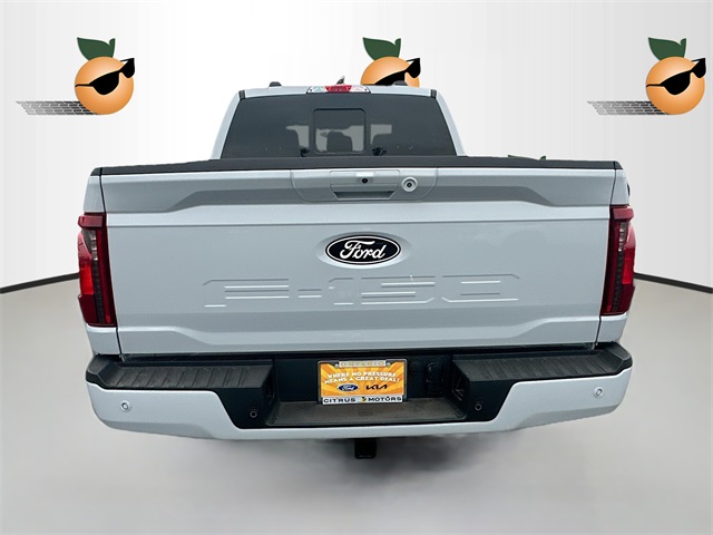 2025 Ford F-150 XLT photo 4