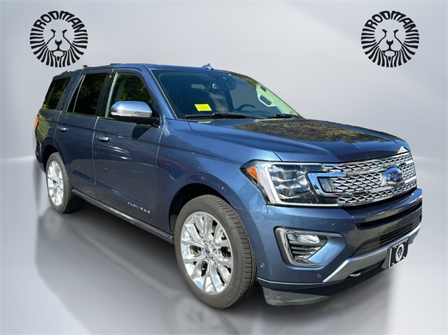 2019 Ford Expedition Platinum photo 3