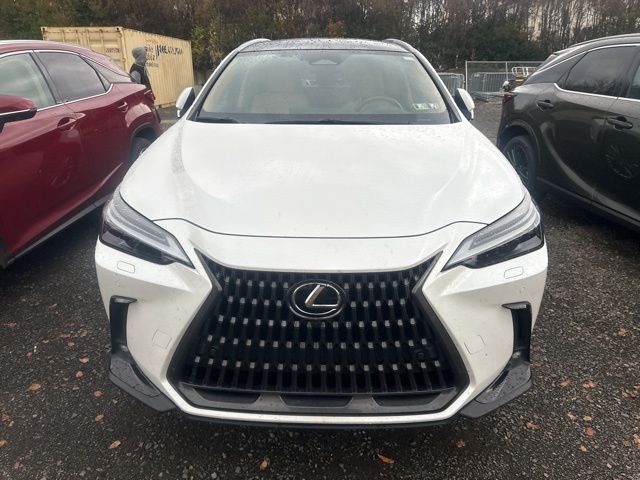 2024 Lexus NX 350h Luxury photo 2