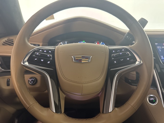 2020 Cadillac Escalade Platinum photo 19