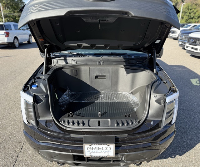 2025 Ford F-150 Lightning photo 11
