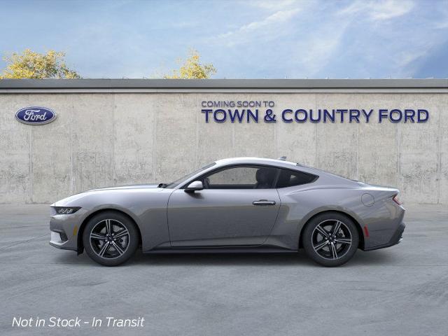2025 Ford Mustang EcoBoost photo 13
