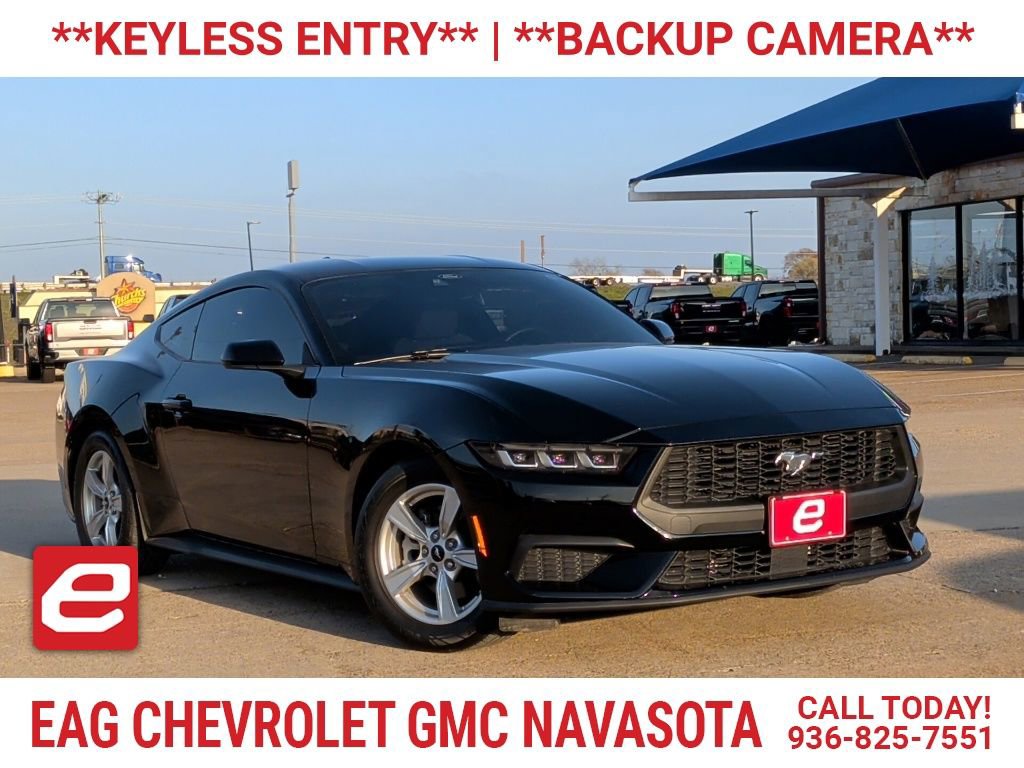 2024 Ford Mustang EcoBoost's photo