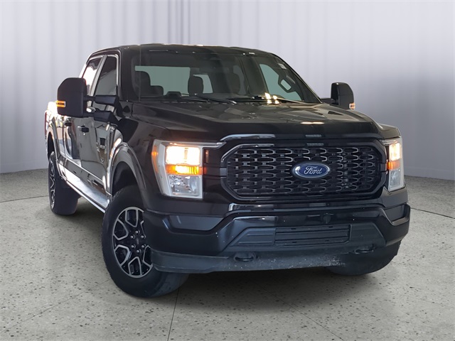 2022 Ford F-150 XL's photo