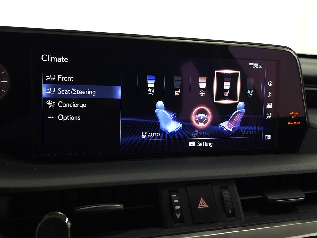2020 Lexus ES 300h photo 28