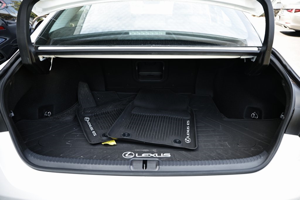 2021 Lexus ES 300h photo 29
