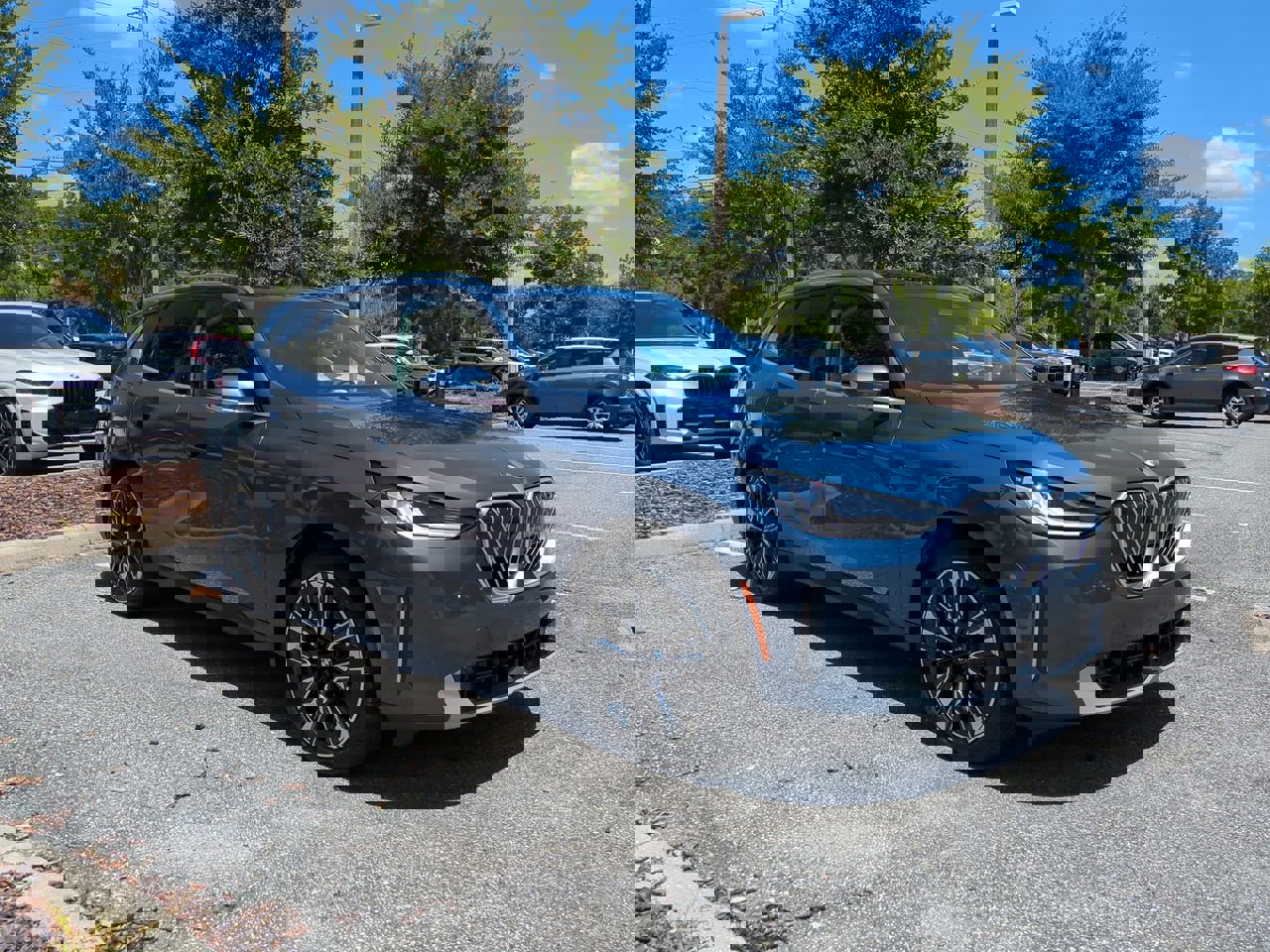 2025 Bmw X3 30x Drive photo 3