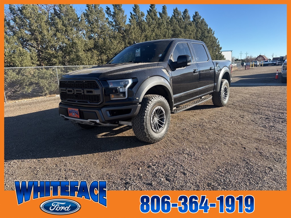 2020 Ford F-150 Raptor's photo