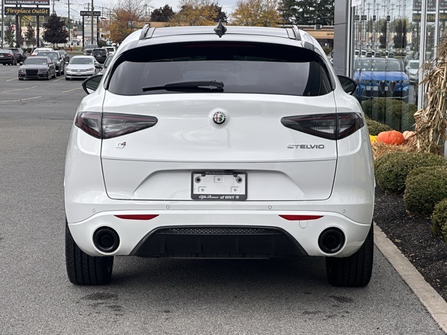 2025 Alfa Romeo Stelvio Tributo Italiano photo 4