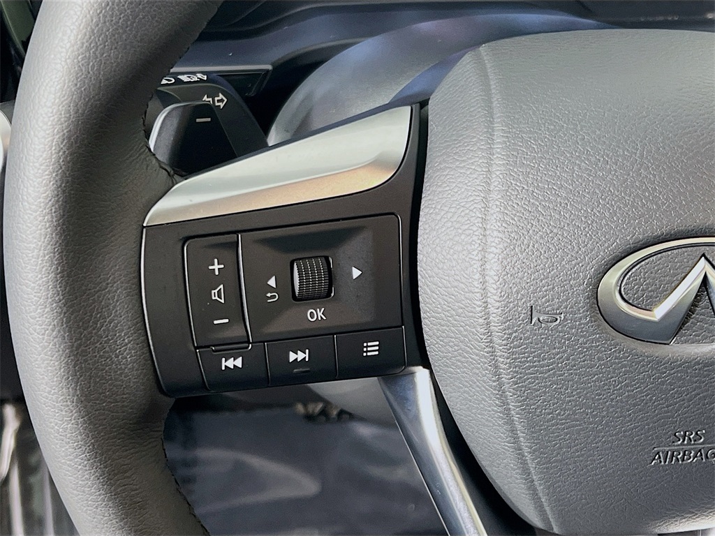 2025 Infiniti QX60 Luxe photo 11