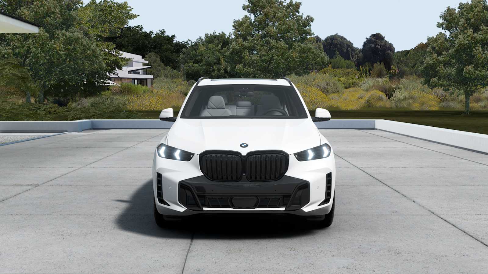 2026 Bmw X5 xDrive50e photo 3