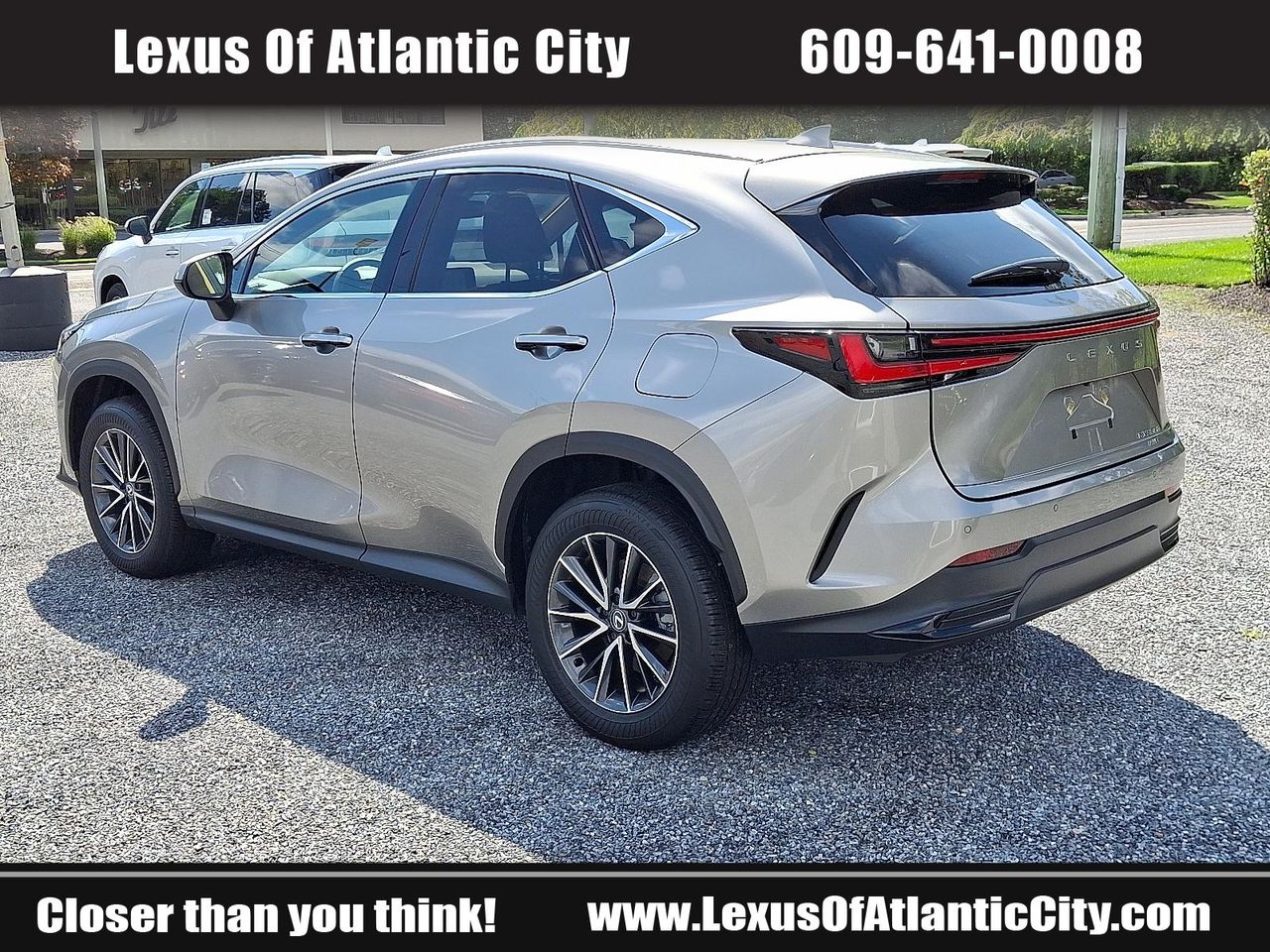 2025 Lexus NX 350h Premium photo 4