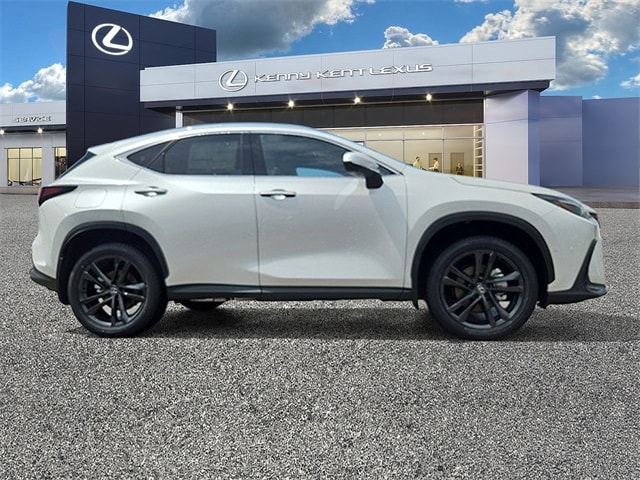 2025 Lexus NX Luxury AWD photo 2