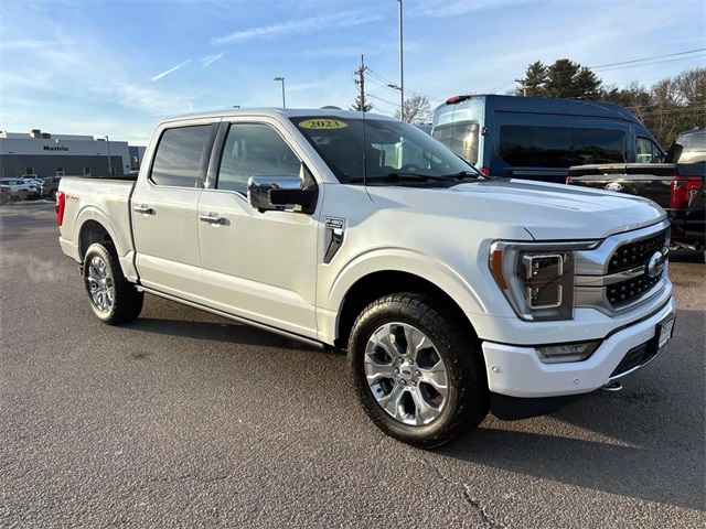 2023 Ford F-150 Platinum's photo