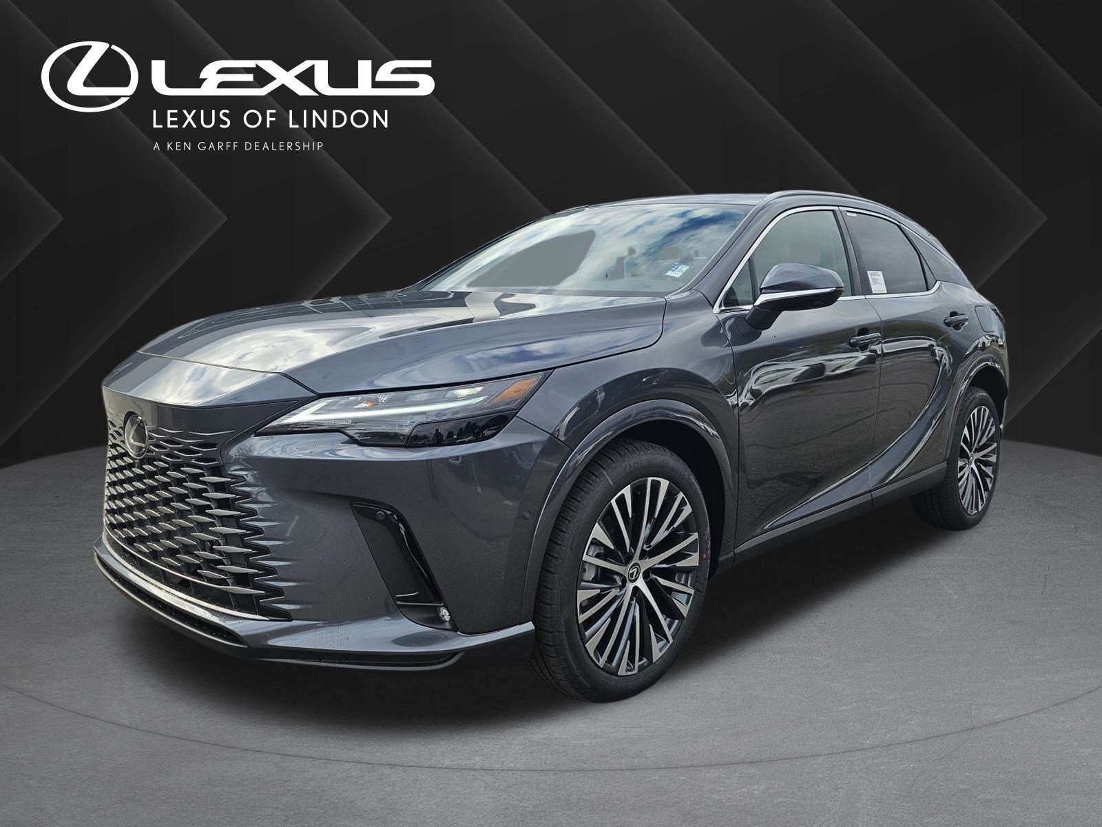 2025 Lexus RX 350's photo