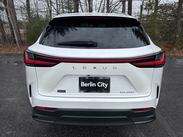 2025 Lexus NX photo 4