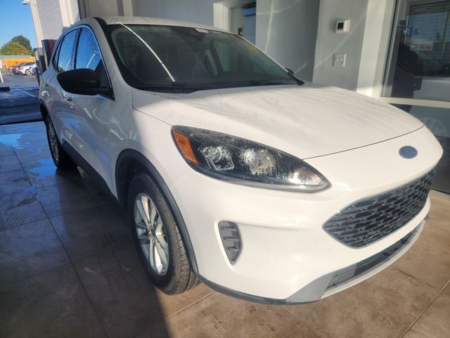 2022 Ford Escape Hybrid SE photo 2