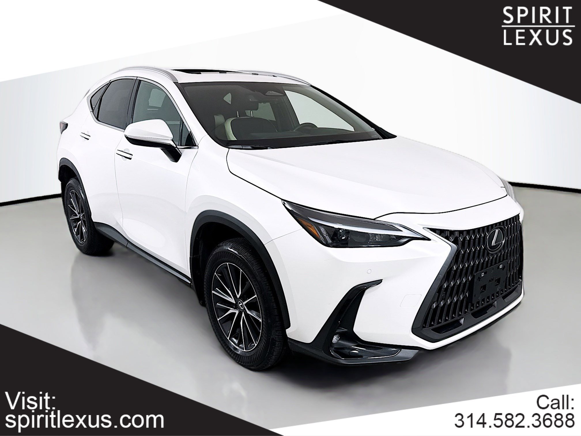 2024 Lexus NX Hybrid 350h's photo