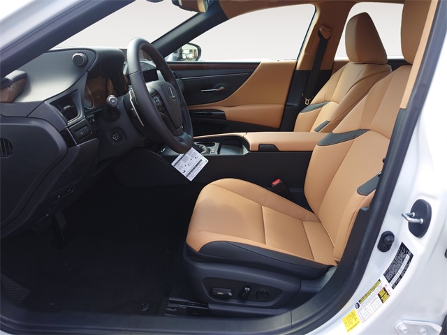 2025 Lexus ES 300h photo 9