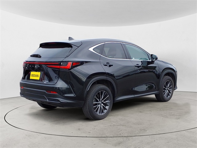 2024 Lexus NX 350h Premium photo 5