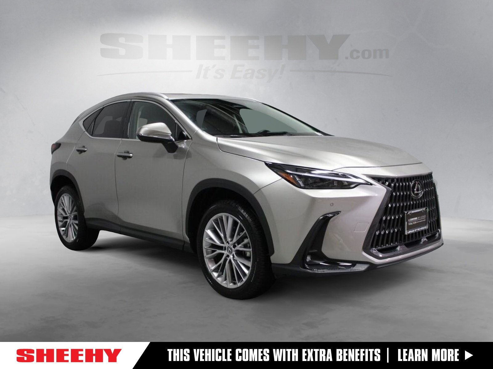 2025 Lexus NX 350's photo