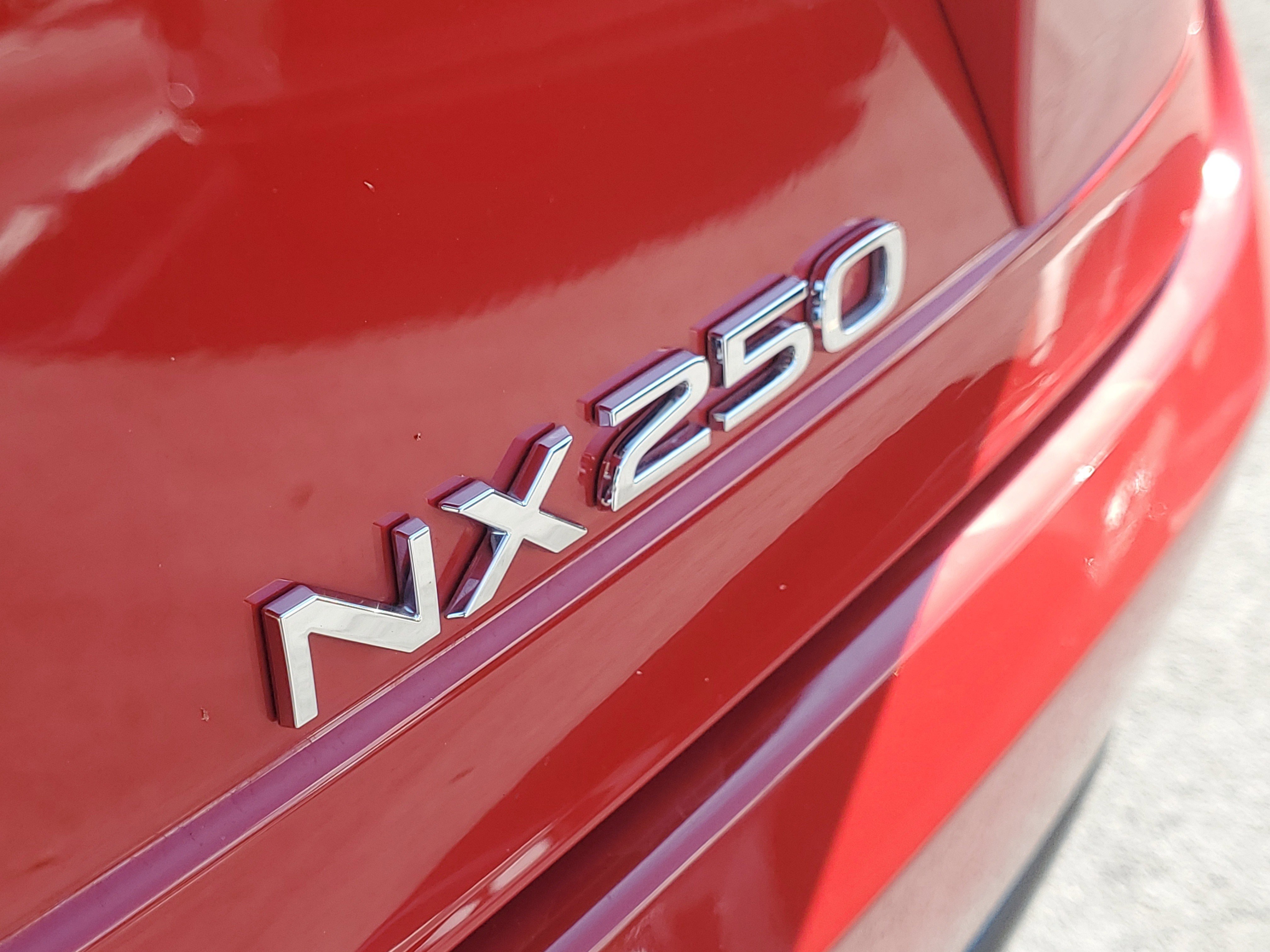 2025 Lexus NX 250 photo 7