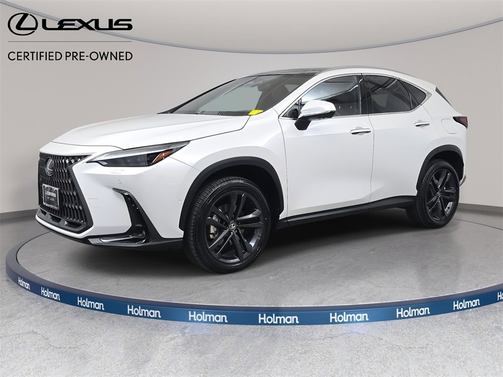 2025 Lexus NX PHEV 450h+'s photo