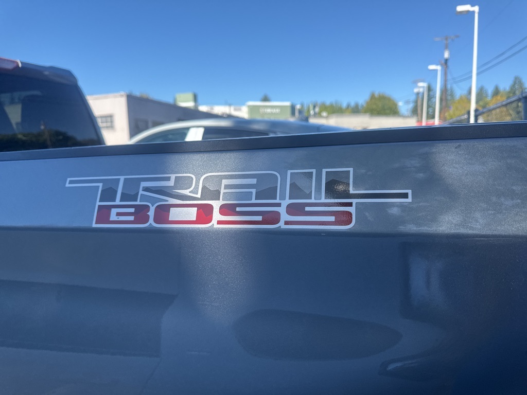 2019 Chevrolet Silverado 1500 Custom Trail Boss photo 4