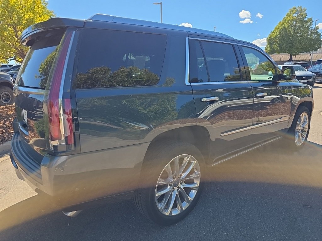 2019 Cadillac Escalade Platinum photo 6