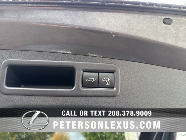 2024 Lexus RX 350h Premium photo 19
