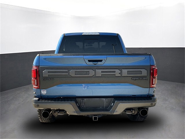 2019 Ford F-150 Raptor photo 4