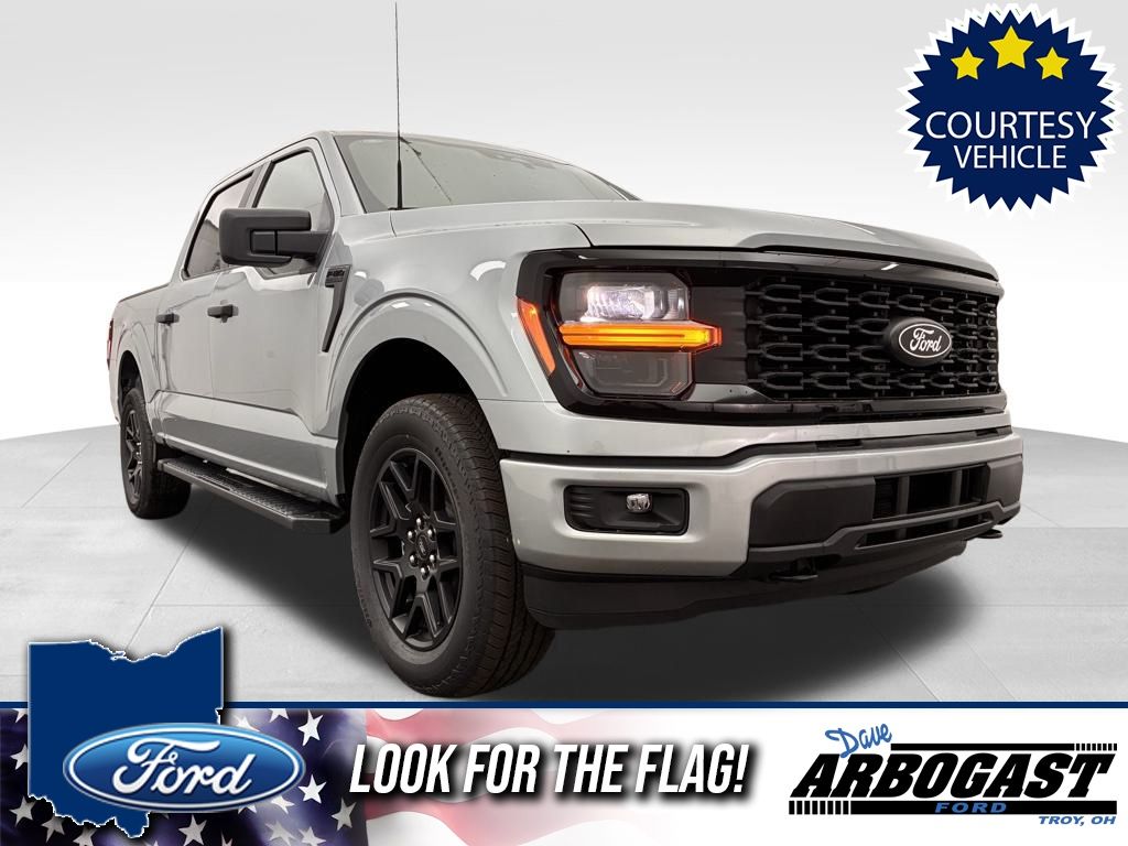 2025 Ford F-150 STX's photo