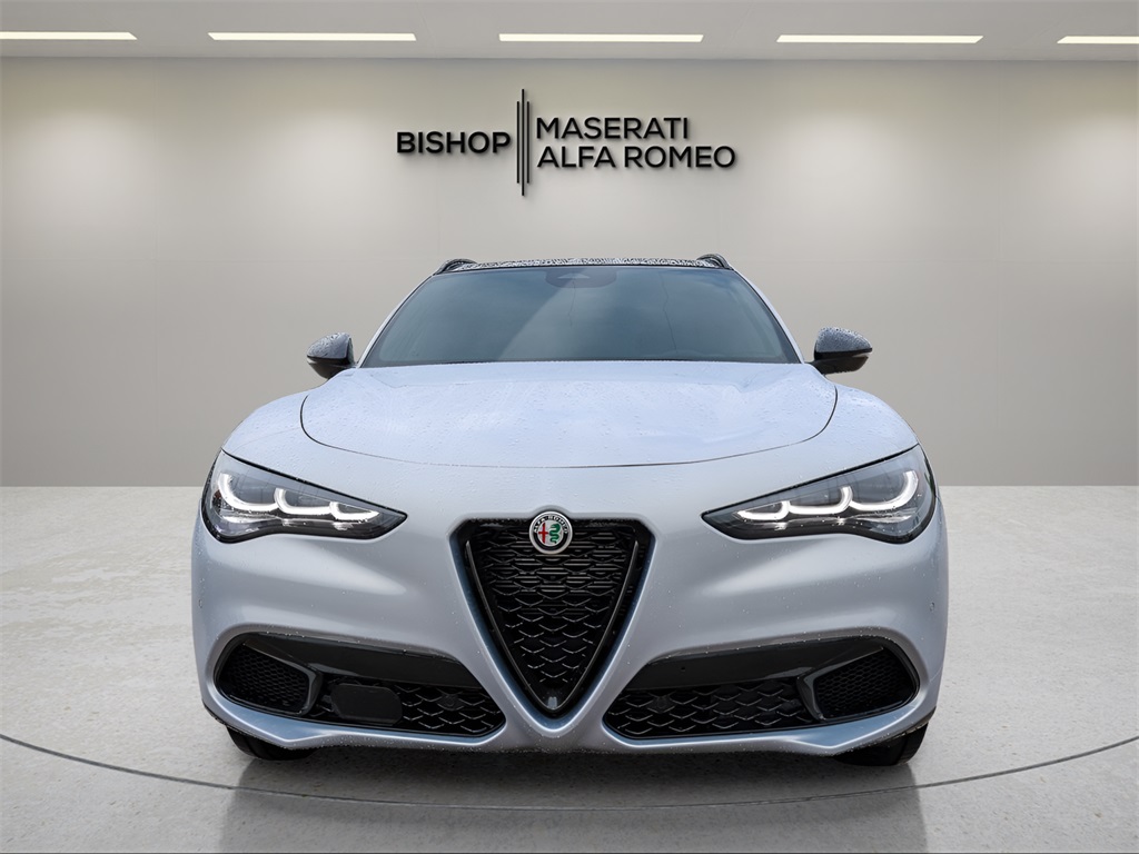 2025 Alfa Romeo Stelvio Base photo 2