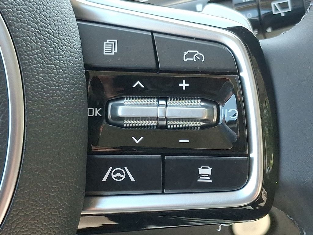 2026 Kia Carnival SX photo 16