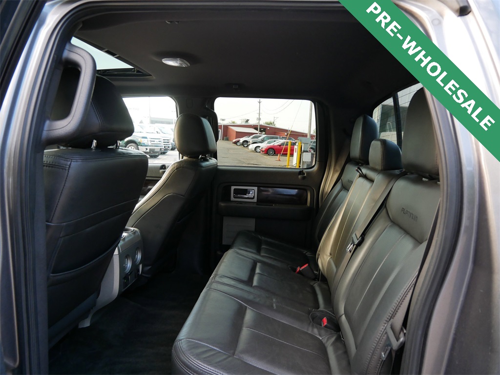 2013 Ford F-150 Platinum photo 11