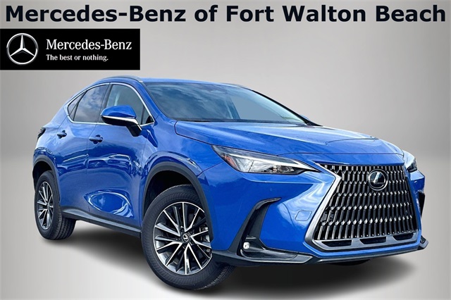 2025 Lexus NX 250's photo