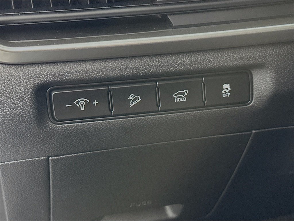 2023 Kia Telluride EX photo 10