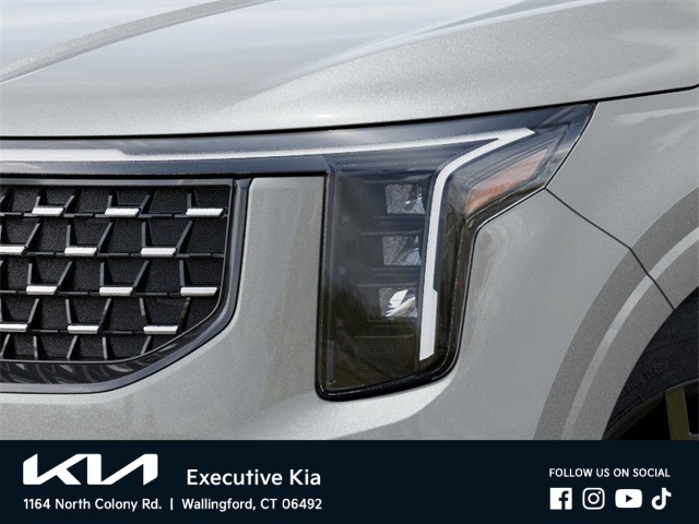 2026 Kia Carnival SX photo 8
