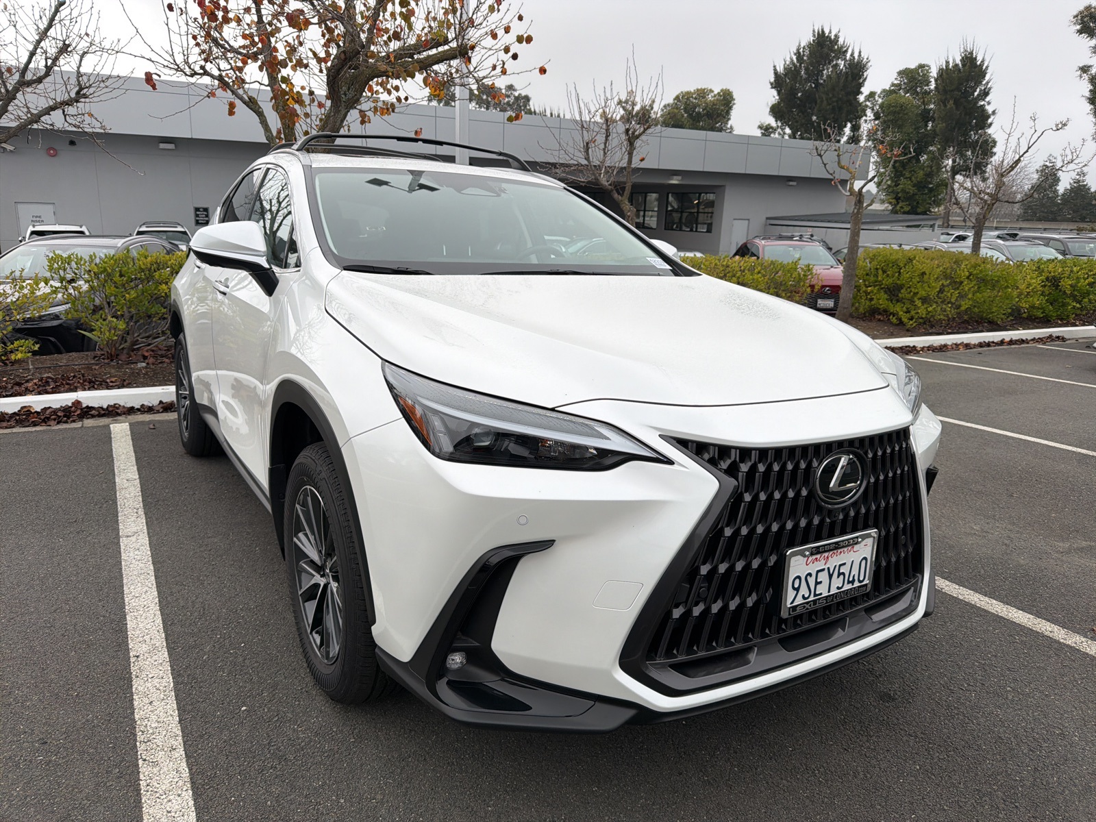 2025 Lexus NX Hybrid 350h's photo