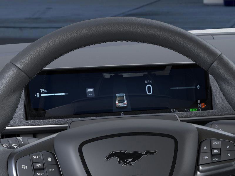 2025 Ford Mustang Mach-E Premium photo 12