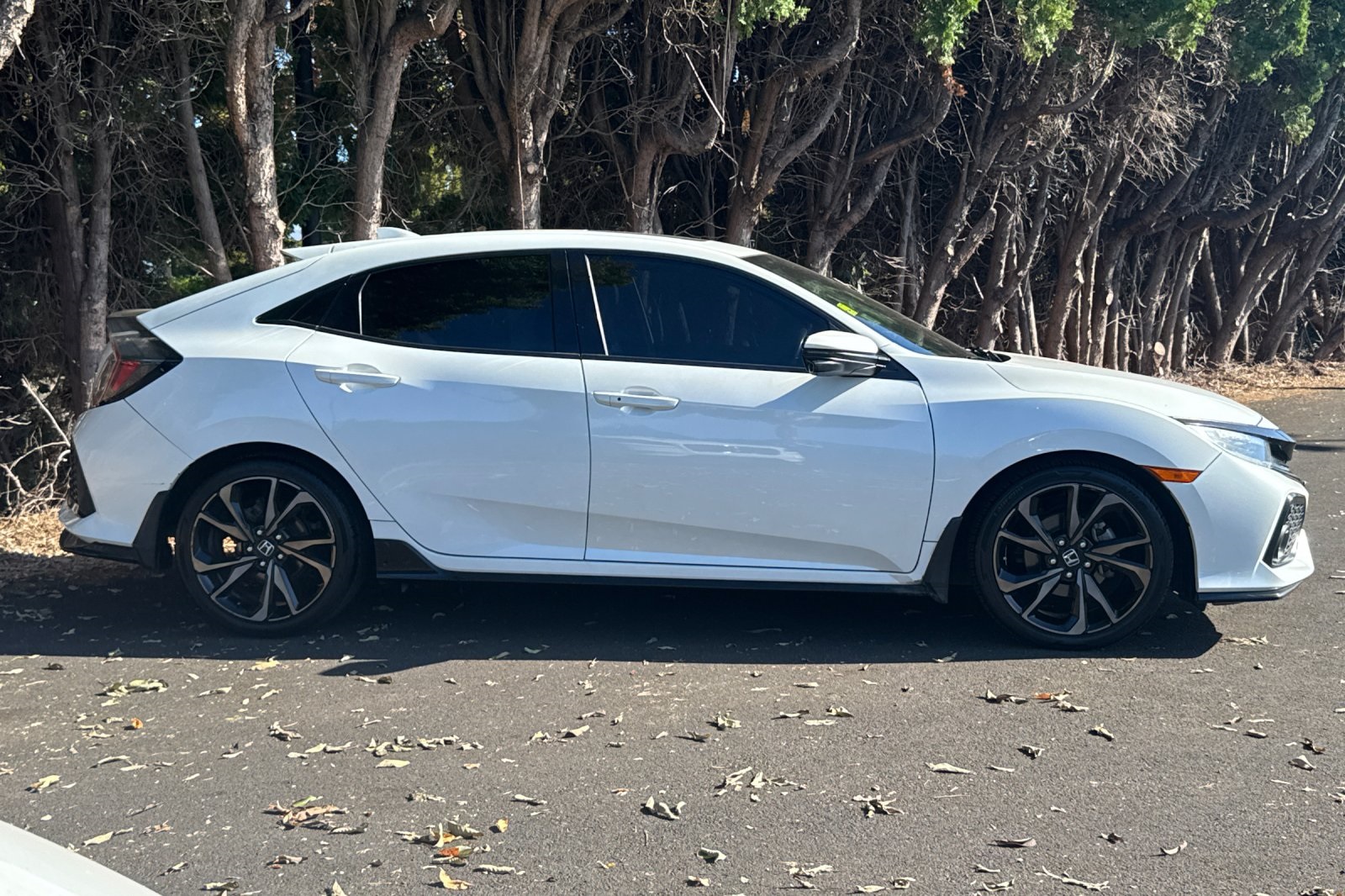 2019 Honda Civic Sport Touring photo 3