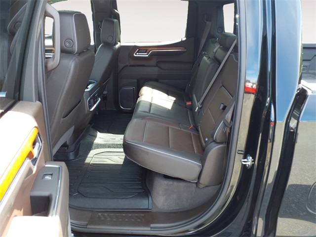 2023 Gmc Sierra 1500 Denali photo 13