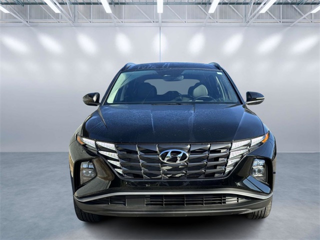 2024 Hyundai Tucson SEL Convenience photo 8