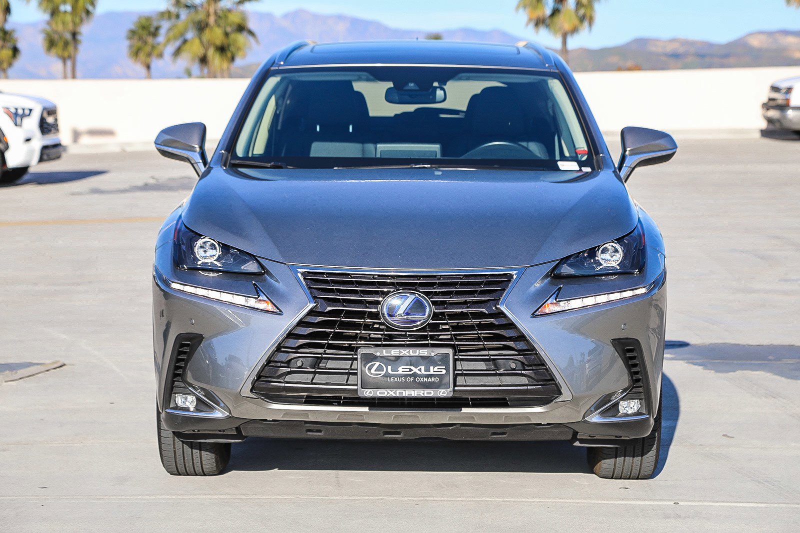 2020 Lexus NX 300h photo 2
