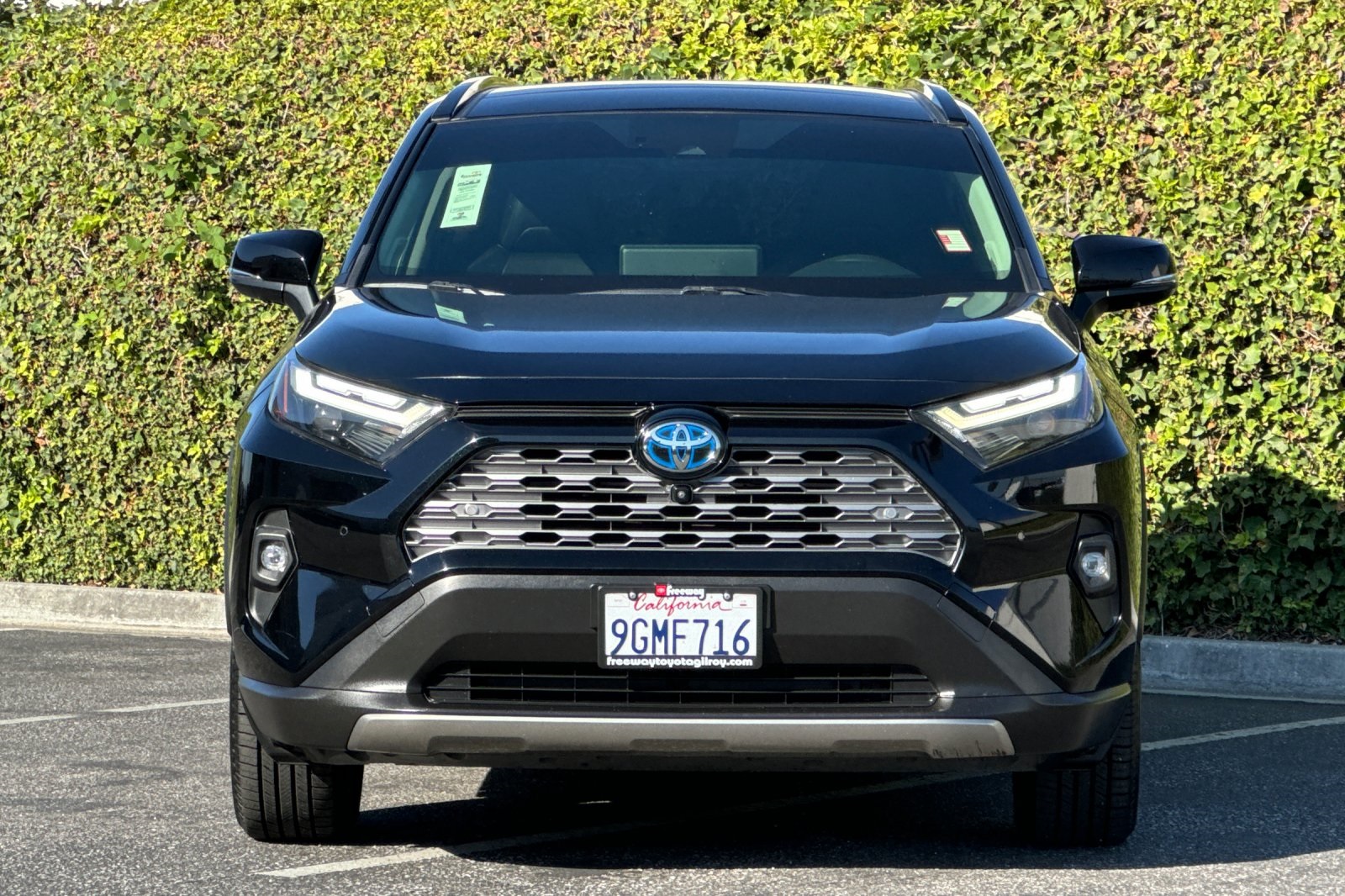 2023 Toyota RAV4 Hybrid Limited photo 7