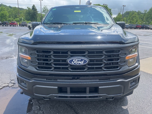 2025 Ford F-150 STX photo 2