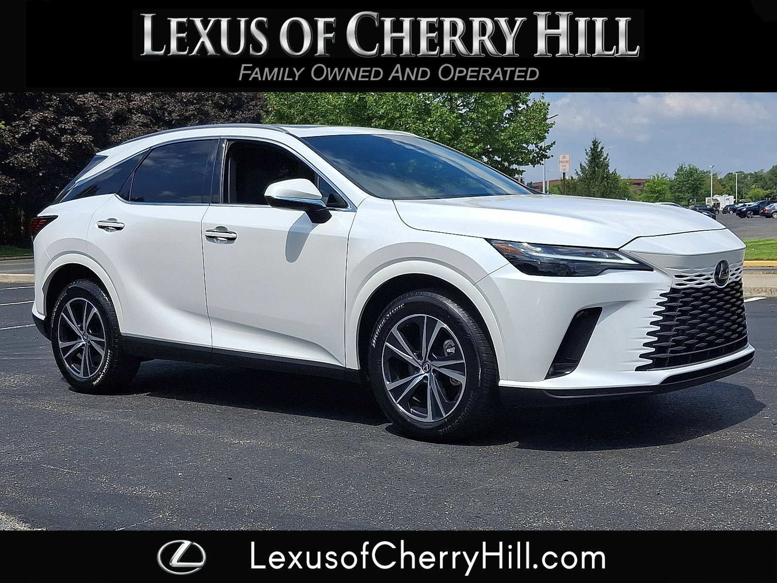 2024 Lexus RX 350's photo