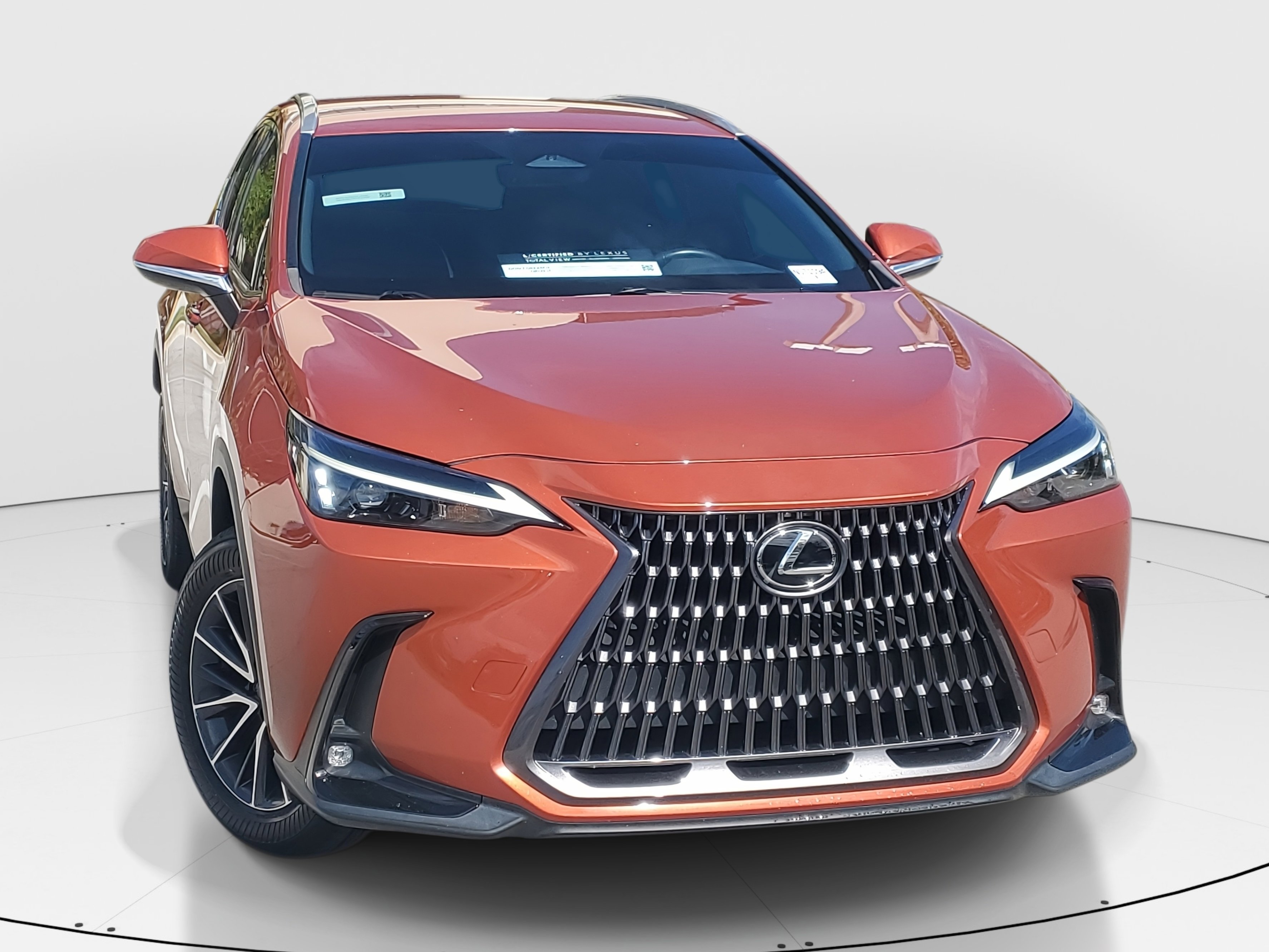 2024 Lexus NX 250 photo 3
